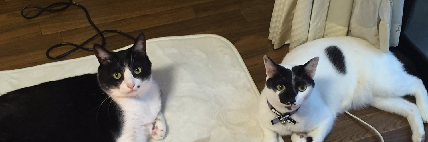 ffybo's profile banner image