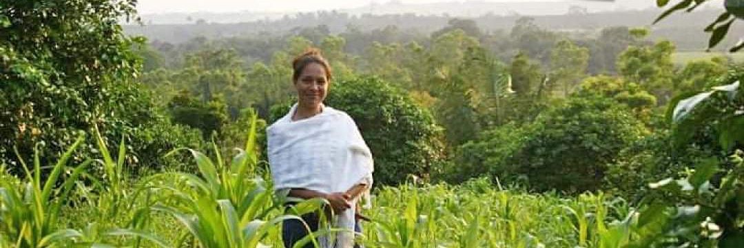EleaneySesma's profile banner image
