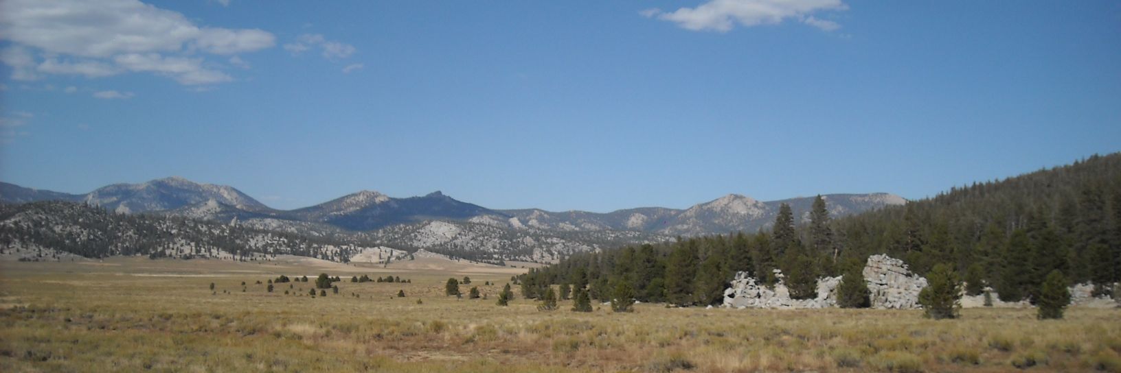 Asher Wood banner