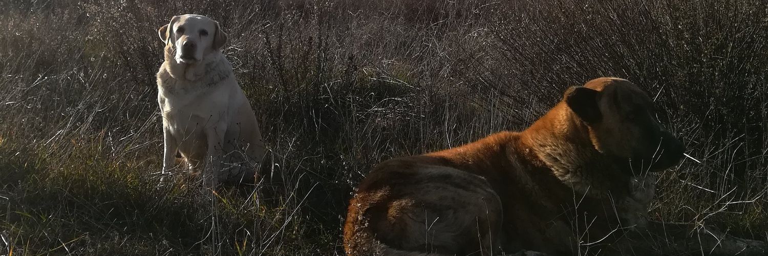 luucczz's profile banner image
