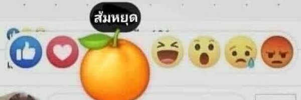 happyshipp_ Profile Banner