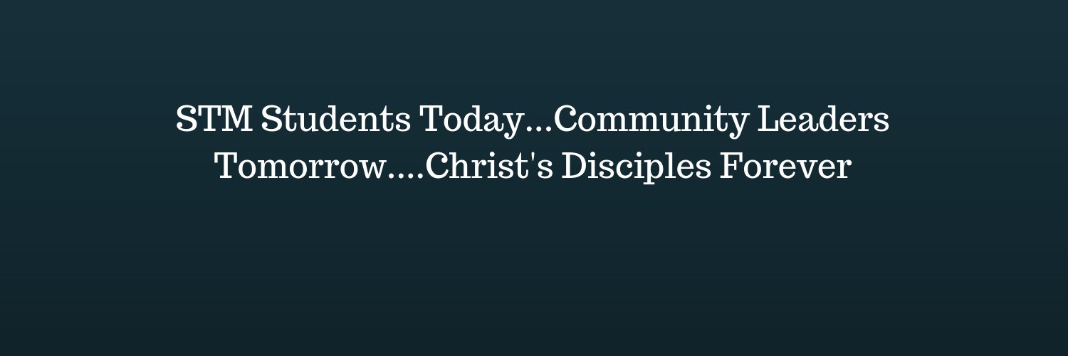 STMHouses's profile banner image
