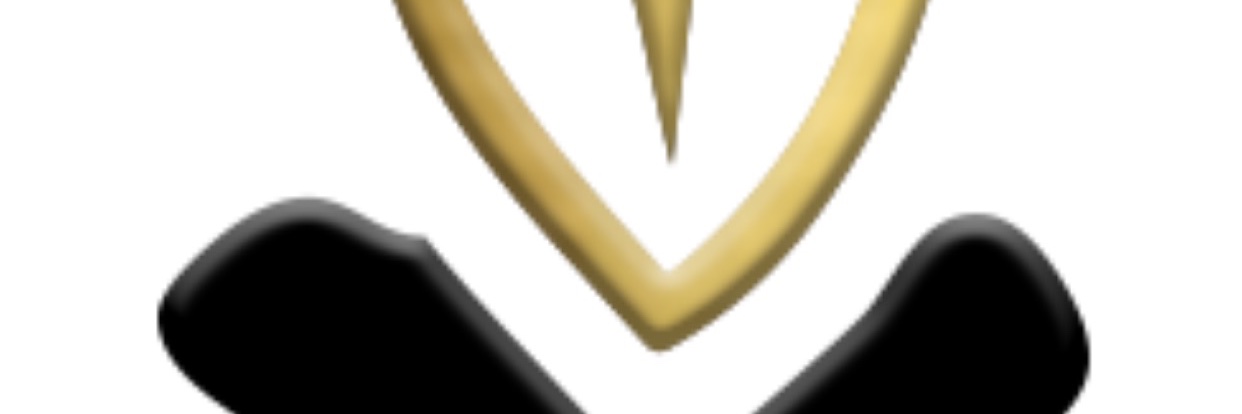 mrnecessaryevls's profile banner image