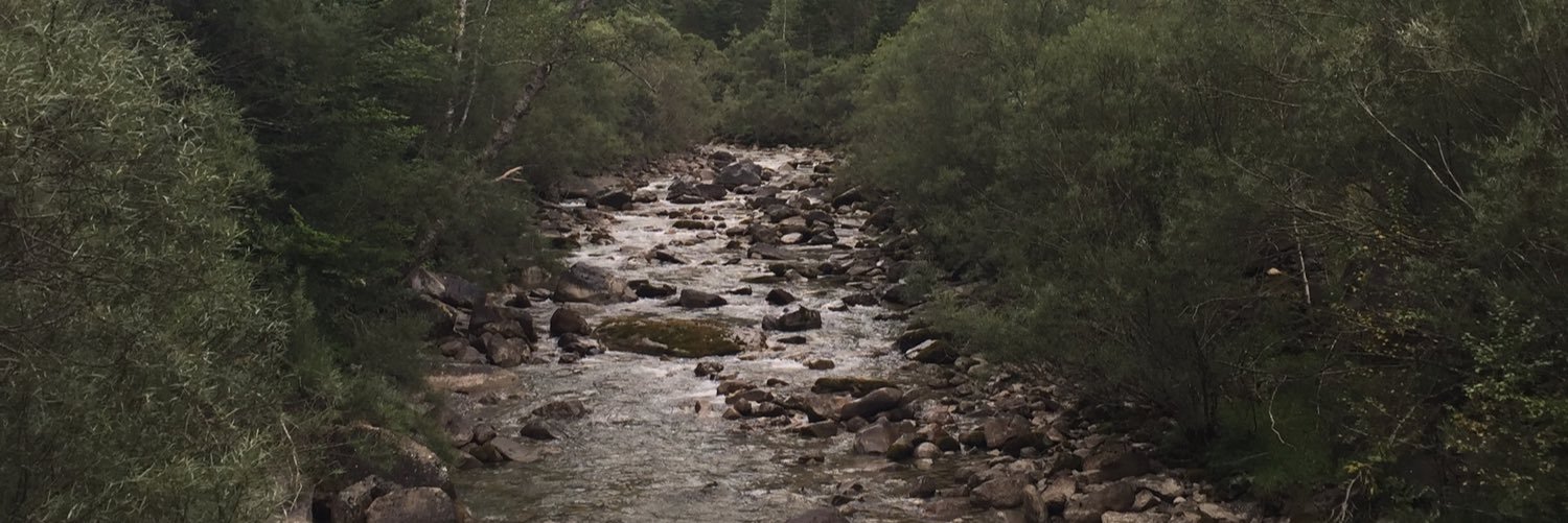 GRodrguezPTY's profile banner image
