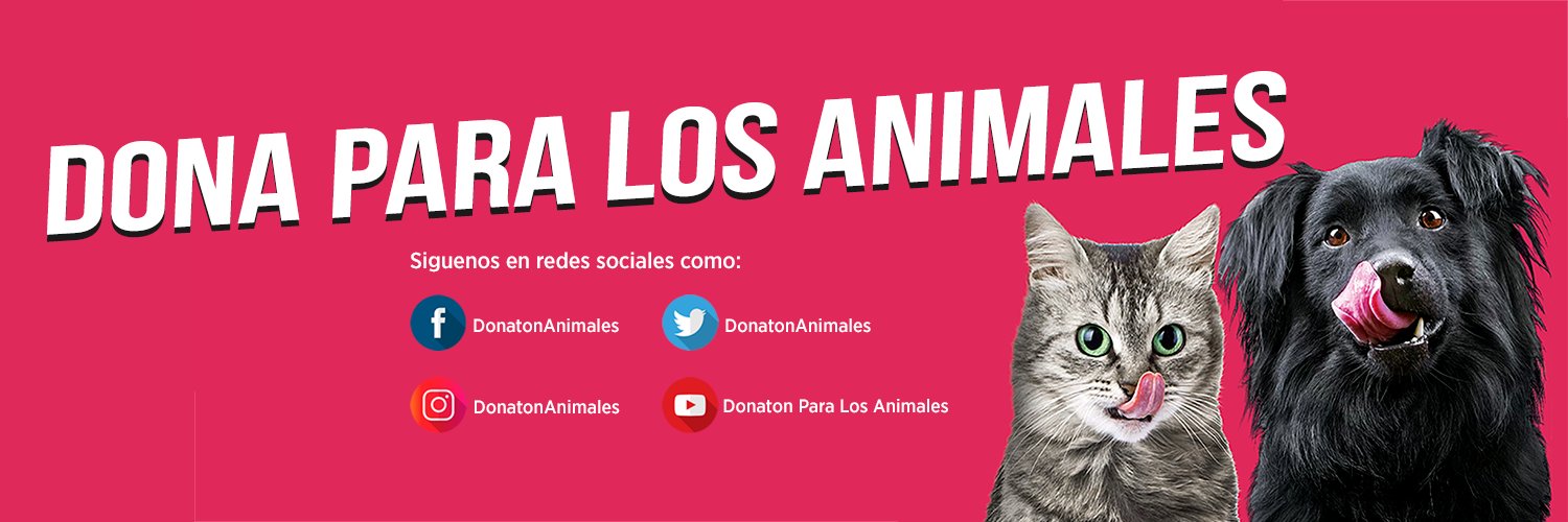 DonatonAnimales's profile banner image
