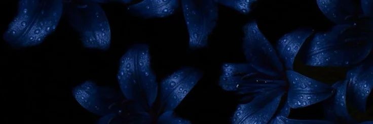 akanekly's profile banner image