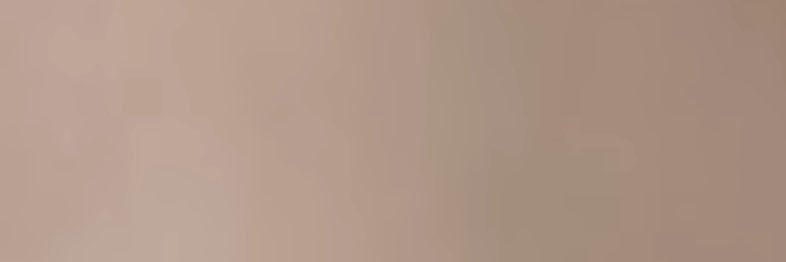 gracie banner
