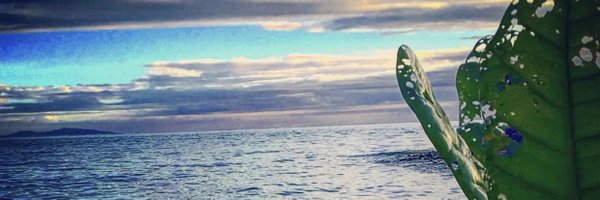 aaronkearneyaus Profile Banner