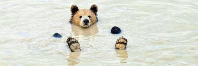 coco紫橙色 banner