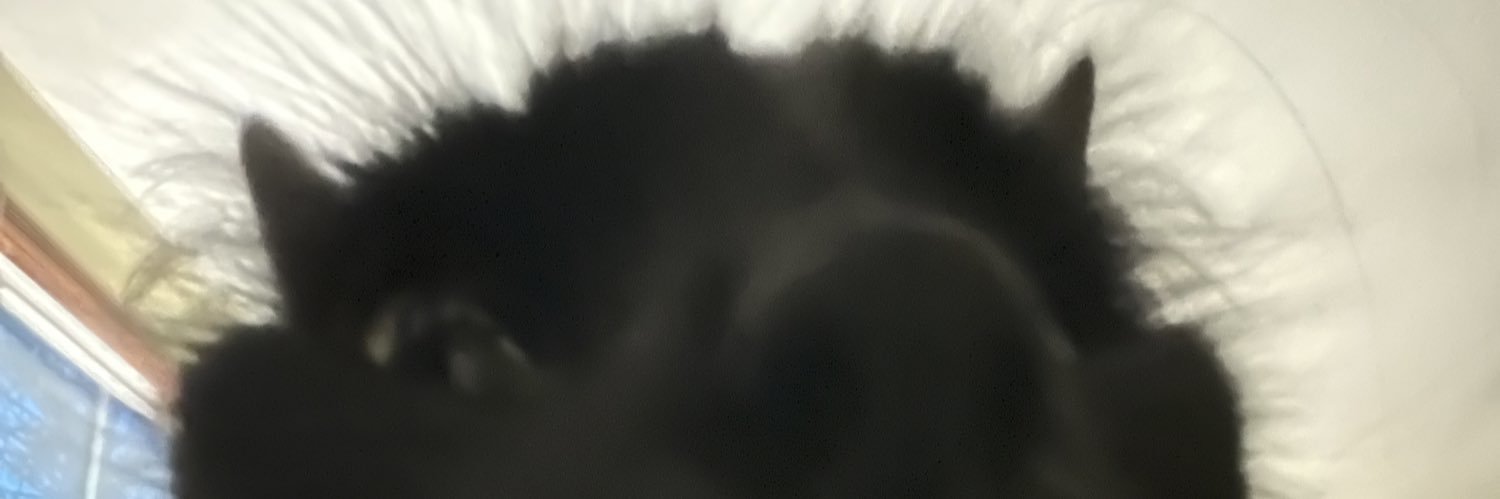 mikey_al's profile banner image
