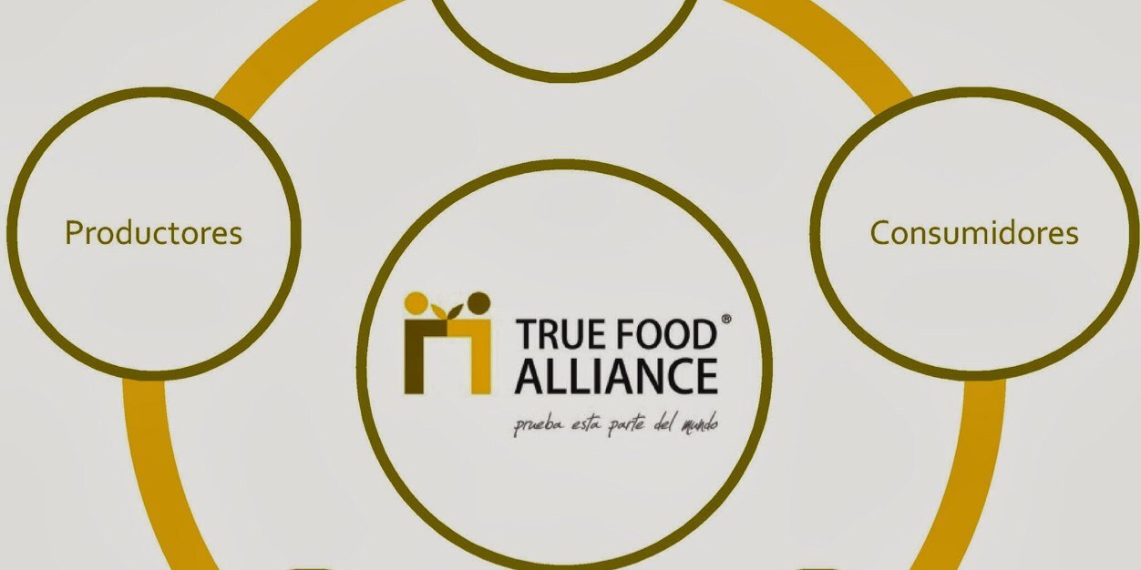The_TrueFood's profile banner image