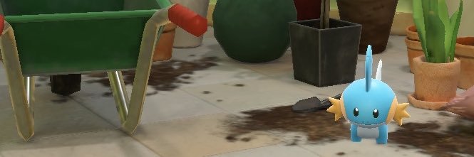 Beta Key 🧡 Mudkip 🧡 banner