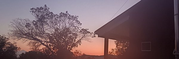 SolerAurelia Profile Banner