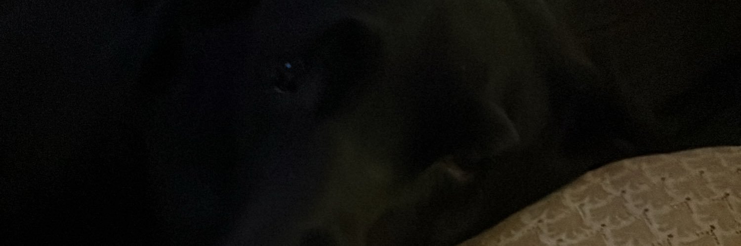 . banner