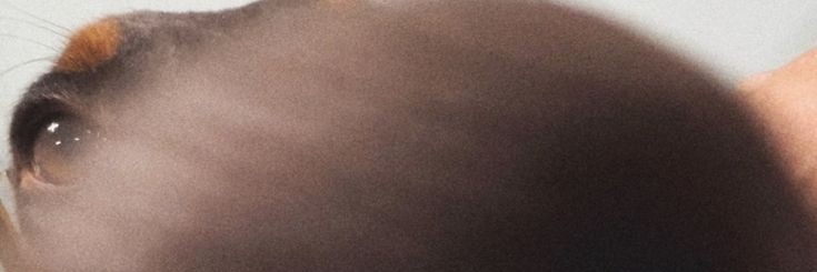 aemilius00's profile banner image
