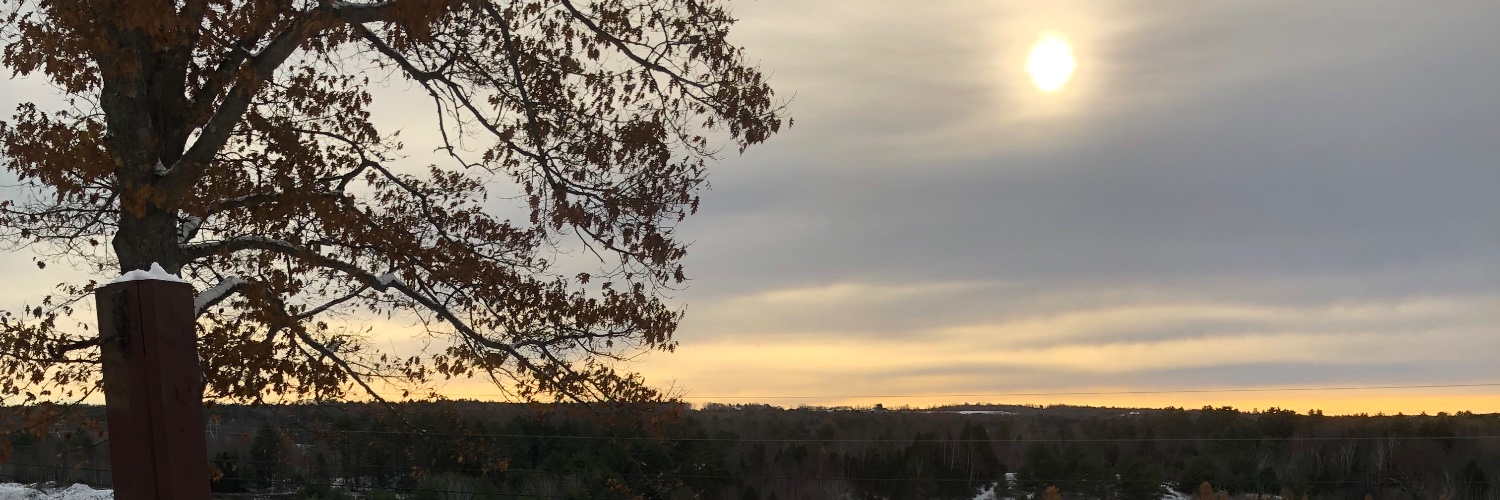 Brian O'Connor banner