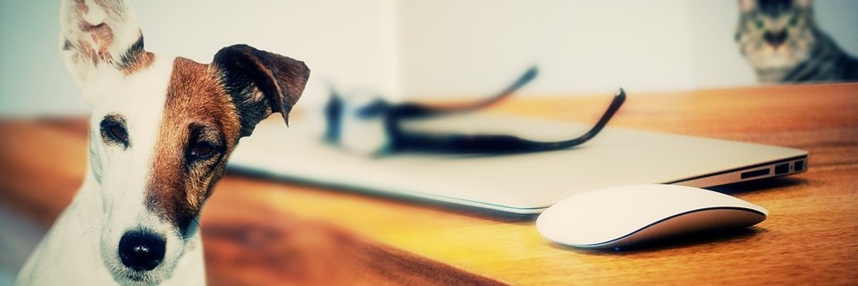 ctwright28546's profile banner image
