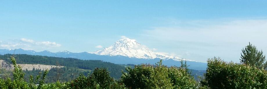 DebbieM🇺🇸🇺🇦🏳️‍🌈 NO FBR Lists!*Harris/Walz banner