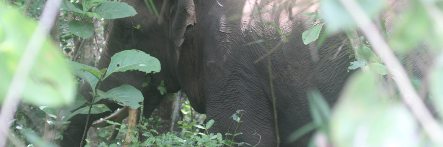 Ramkalyansar's profile banner image