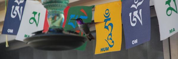 nytebird45 Profile Banner