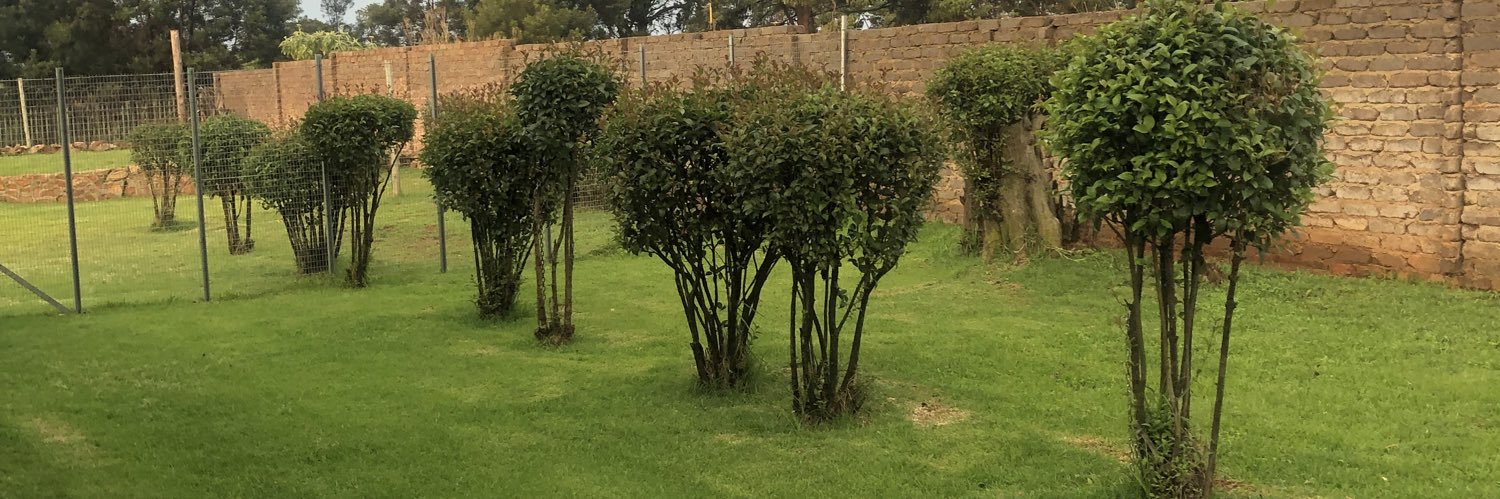 Lesego 🥰 banner