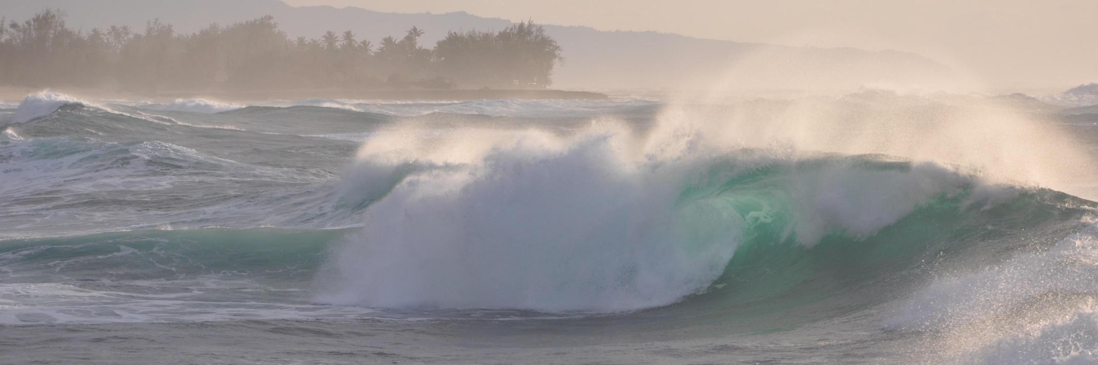 Katherine Barr banner