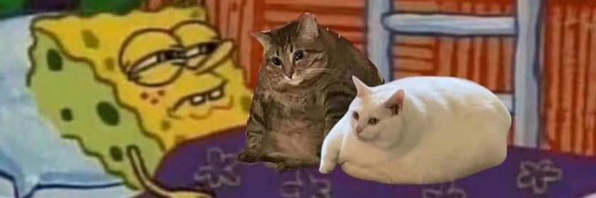 Nɐa Morrisoη 𖤐 banner