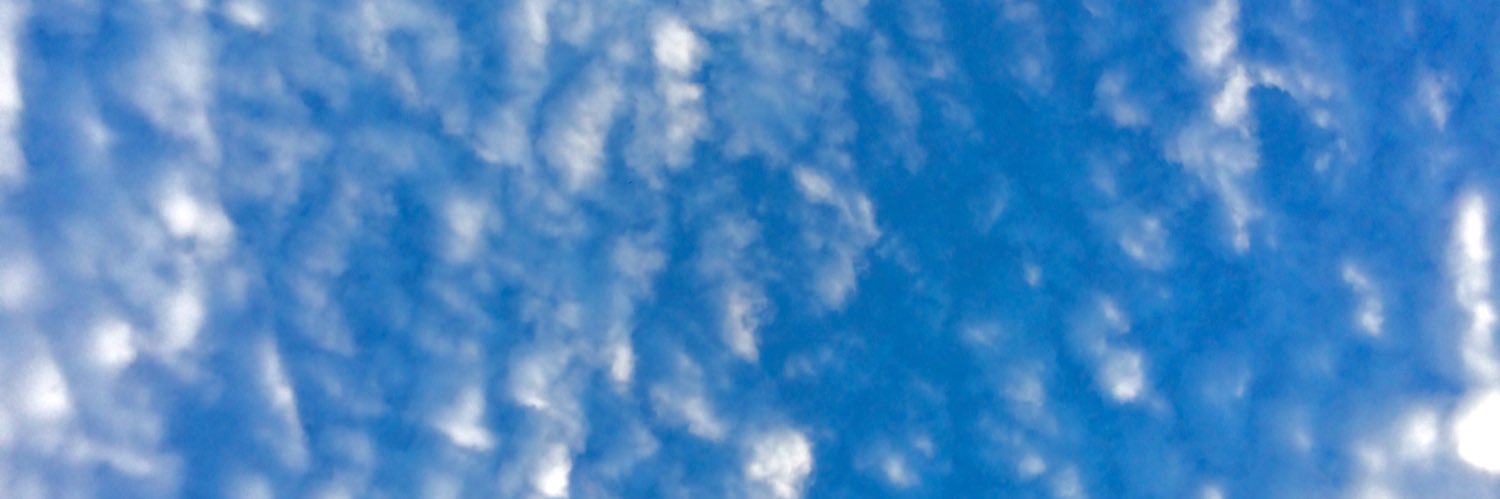MarFerrino's profile banner image