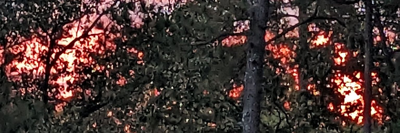 Jennifer Vega banner