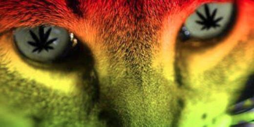 Shorty_Ohh's profile banner image