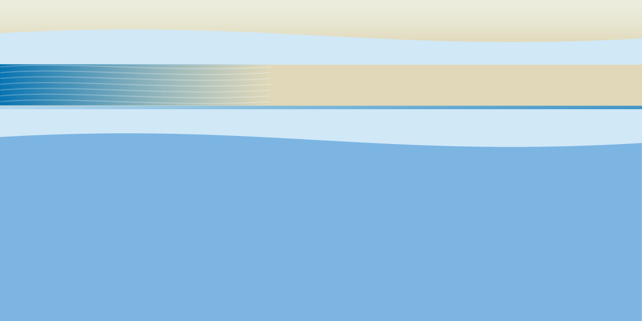 BobbieWasserman's profile banner image