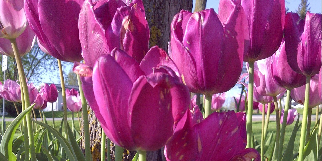 KellyHason's profile banner image