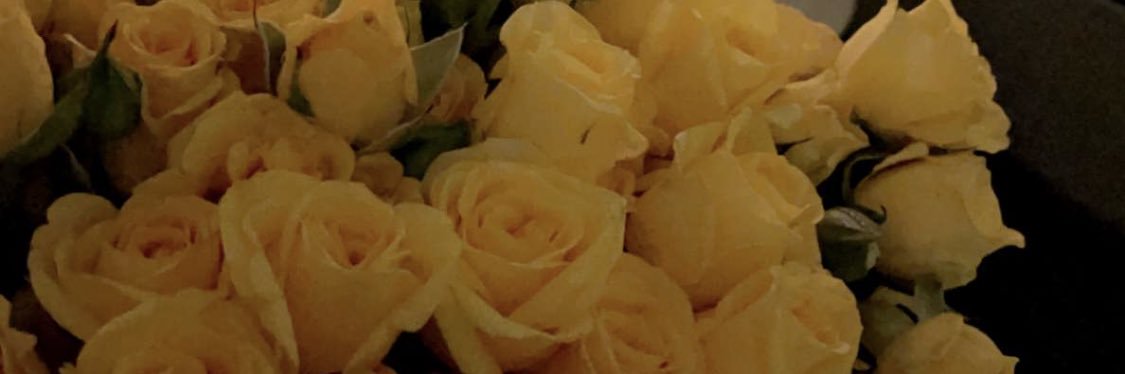 perns072's profile banner image