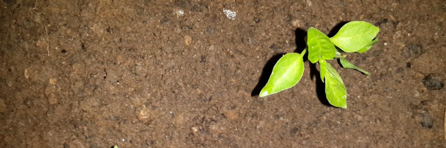 HalefRVayis's profile banner image