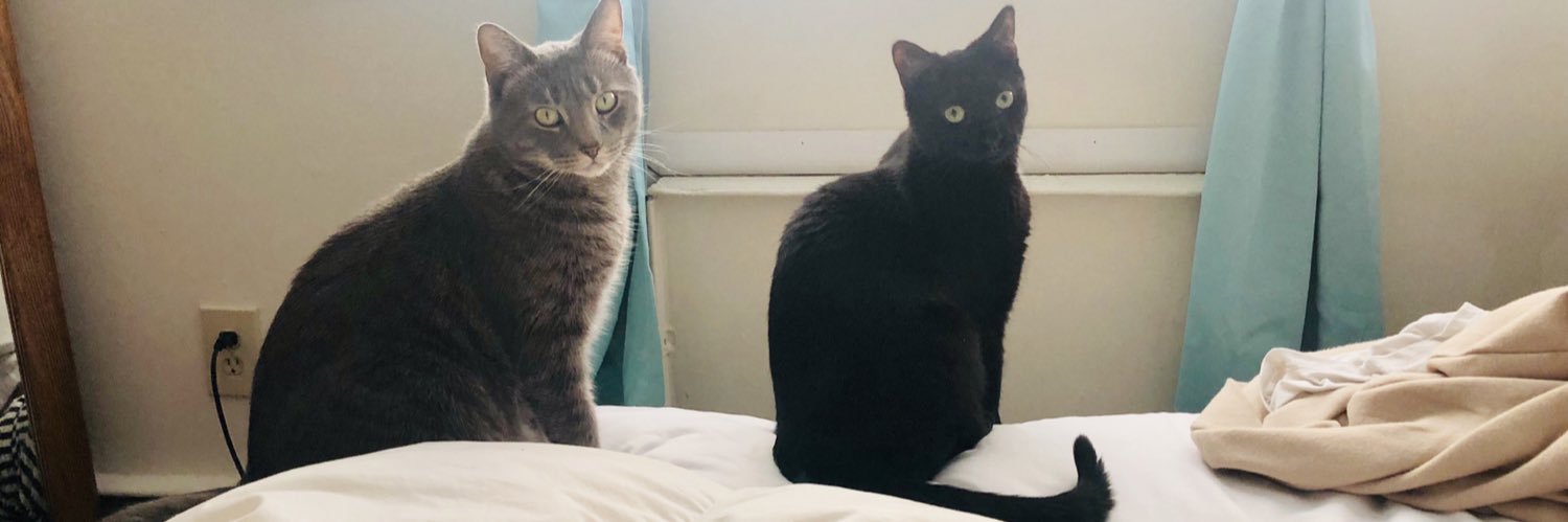 Lexi_Pepe's profile banner image