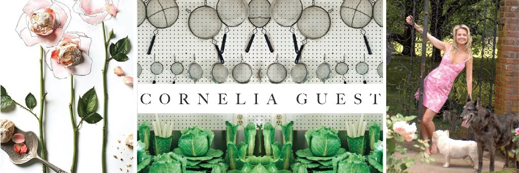 Cornelia Guest banner