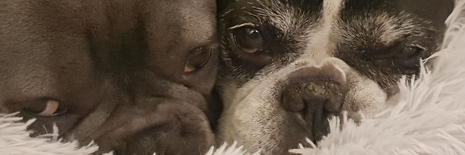 AndrewRicketts0's profile banner image