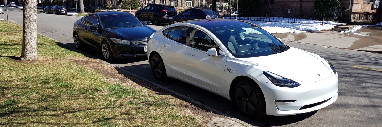 Hairy Poppins banner