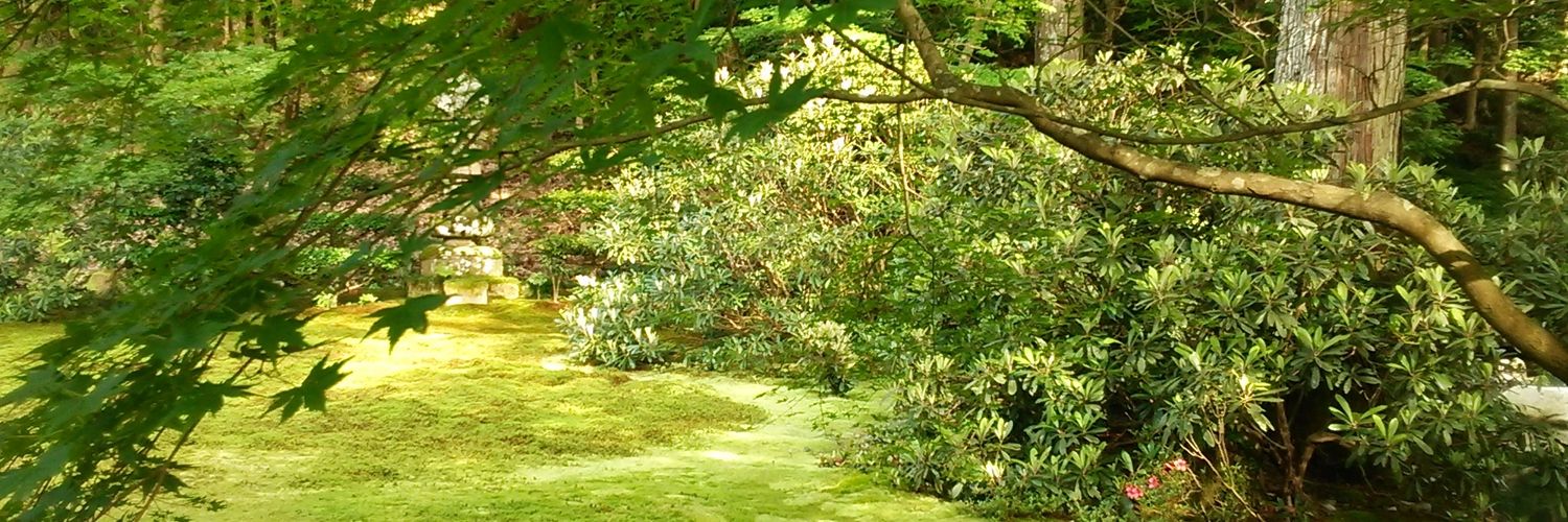 takekyou24's profile banner image