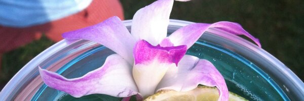 bea_dream Profile Banner