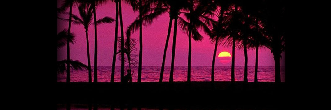 FucksiaLady's profile banner image