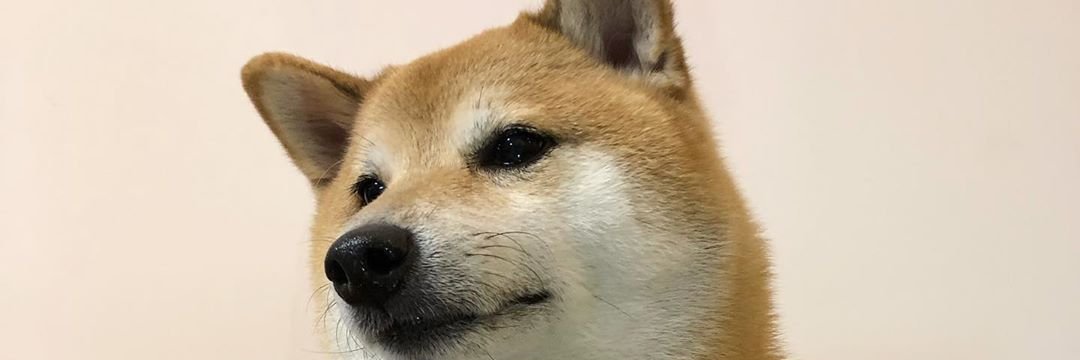 Lamp Lover banner