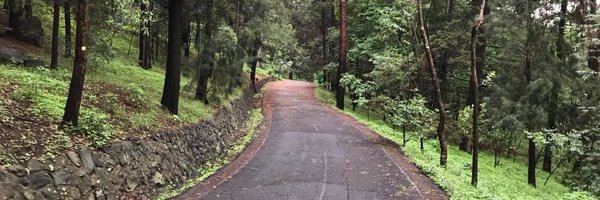 BeetoRodCas Profile Banner