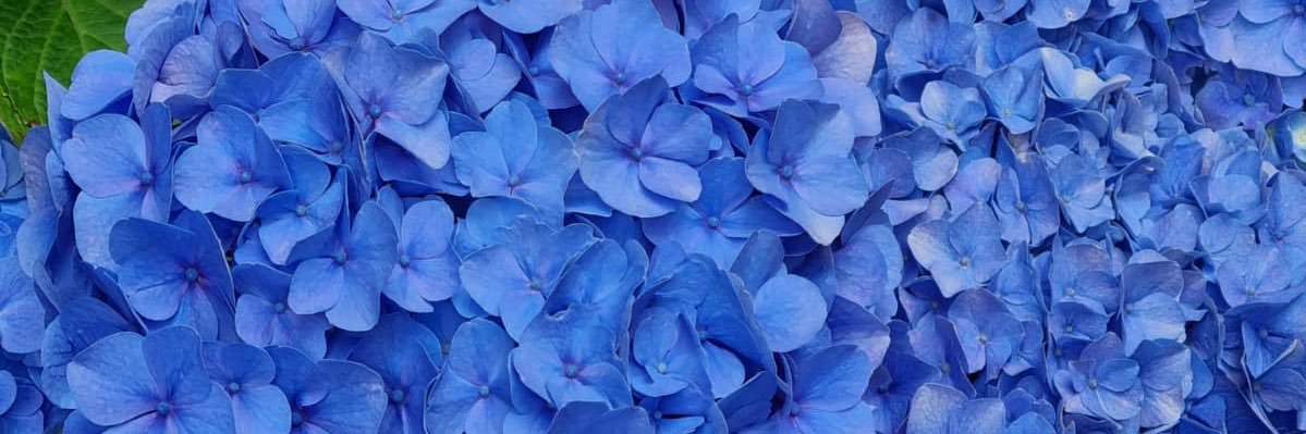 SarahBinesmael's profile banner image