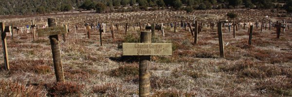 Nexus1O1 Profile Banner