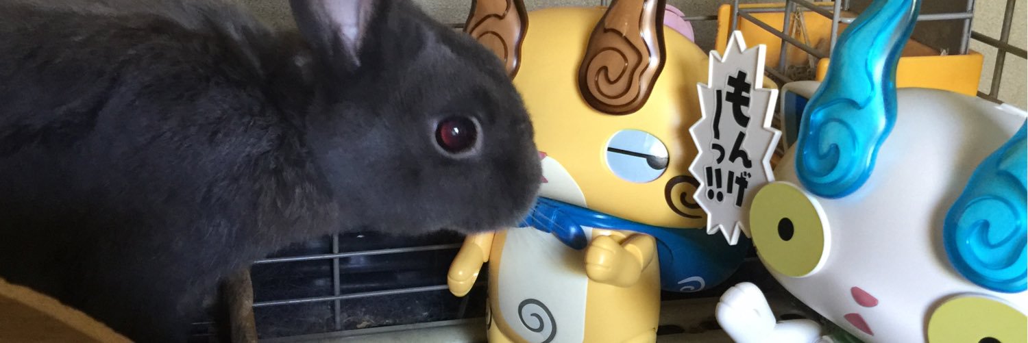 akipuch's profile banner image