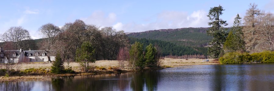 Laura Birka Hensel banner