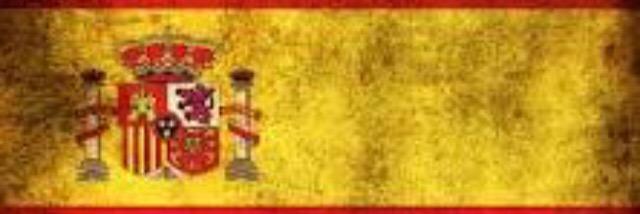 Nacho chinchilla banner