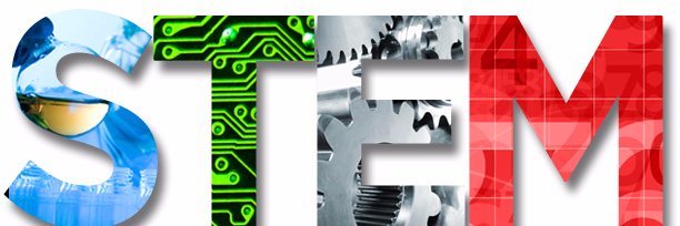 David Storch banner
