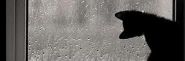 AndiArevalos's profile banner image